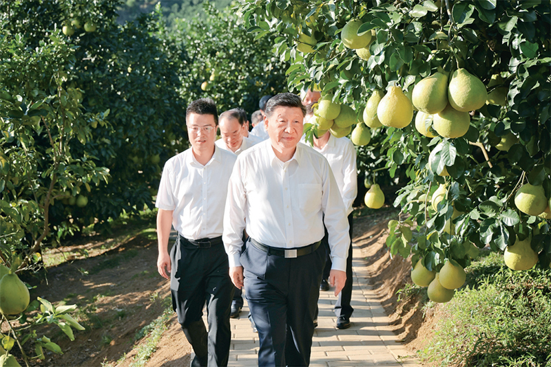 W020251231546070427370_ORIGIN